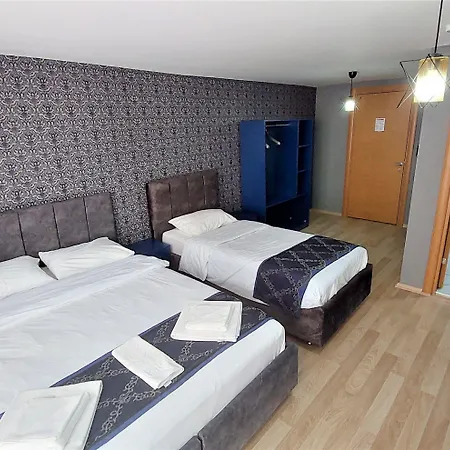 Mini 3*